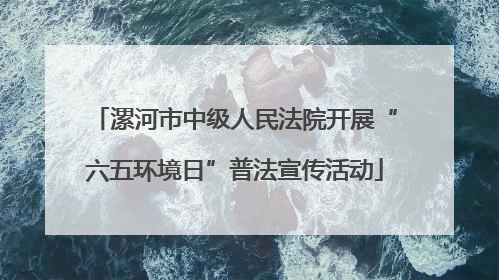 漯河市中级人民法院开展“六五环境日”普法宣传活动