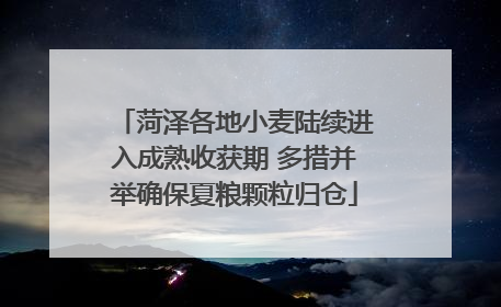 菏泽各地小麦陆续进入成熟收获期 多措并举确保夏粮颗粒归仓