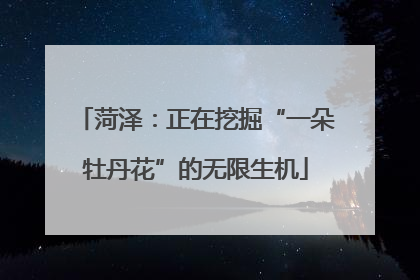 菏泽：正在挖掘“一朵牡丹花”的无限生机