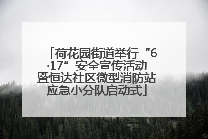 荷花园街道举行“6·17”安全宣传活动暨恒达社区微型消防站应急小分队启动式