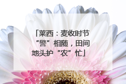 莱西：麦收时节“警”相随，田间地头护“农”忙