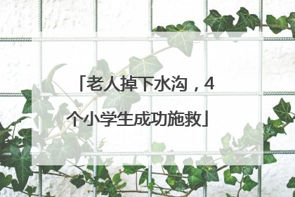 老人掉下水沟，4个小学生成功施救