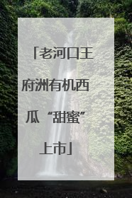 老河口王府洲有机西瓜“甜蜜”上市