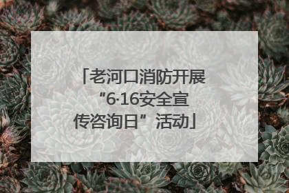 老河口消防开展“6·16安全宣传咨询日”活动