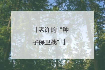 老许的“种子保卫战”