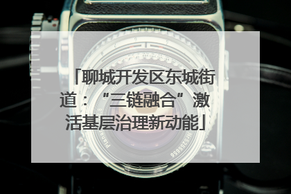 聊城开发区东城街道：“三链融合”激活基层治理新动能