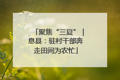 聚焦“三夏”｜息县：驻村干部奔走田间为农忙