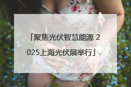 聚焦光伏智慧能源 2025上海光伏展举行