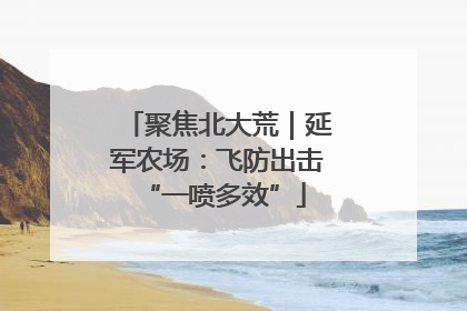 聚焦北大荒｜延军农场：飞防出击 “一喷多效”