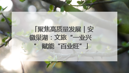 聚焦高质量发展｜安徽巢湖：文旅“一业兴” 赋能“百业旺”