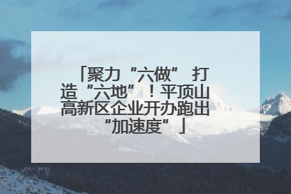 聚力“六做” 打造“六地”！平顶山高新区企业开办跑出“加速度”
