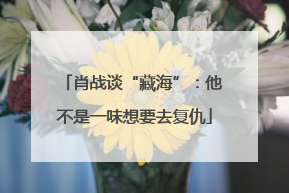 肖战谈“藏海”：他不是一味想要去复仇