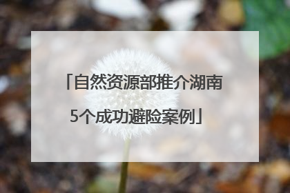 自然资源部推介湖南5个成功避险案例