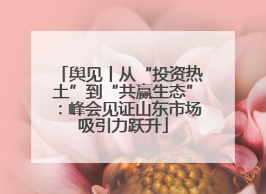 舆见丨从“投资热土”到“共赢生态”：峰会见证山东市场吸引力跃升