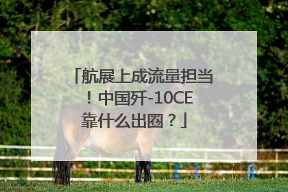 航展上成流量担当！中国歼-10CE靠什么出圈？