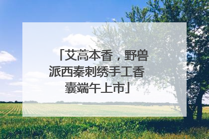 艾蒿本香，野兽派西秦刺绣手工香囊端午上市