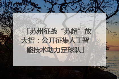 苏州征战“苏超”放大招：公开征集人工智能技术助力足球队