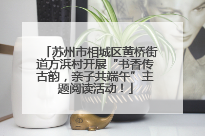 苏州市相城区黄桥街道方浜村开展“书香传古韵，亲子共端午”主题阅读活动！