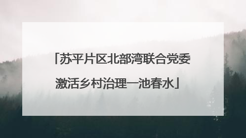 苏平片区北部湾联合党委 激活乡村治理一池春水