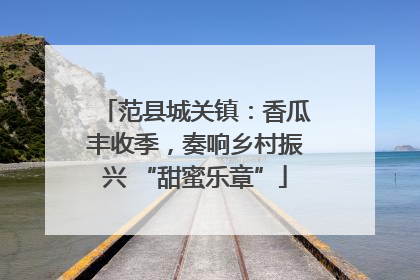 范县城关镇：香瓜丰收季，奏响乡村振兴 “甜蜜乐章”