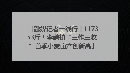 融媒记者一线行丨1173.53斤！李鹊镇“三作三收”首季小麦亩产创新高