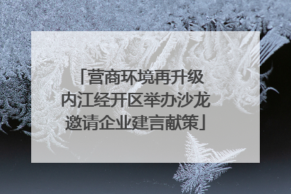 营商环境再升级 内江经开区举办沙龙邀请企业建言献策