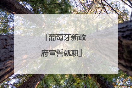 葡萄牙新政府宣誓就职