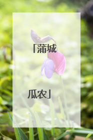 蒲城瓜农