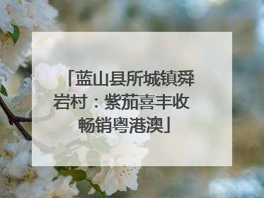 蓝山县所城镇舜岩村：紫茄喜丰收 畅销粤港澳