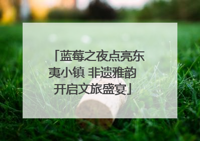 蓝莓之夜点亮东夷小镇 非遗雅韵开启文旅盛宴