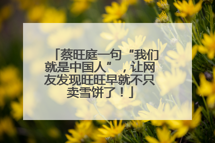 蔡旺庭一句“我们就是中国人”，让网友发现旺旺早就不只卖雪饼了！