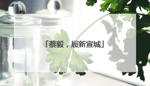蔡毅，履新宣城