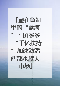 藏在鱼缸里的“蓝海”：拼多多“千亿扶持”加速激活西部水族大市场
