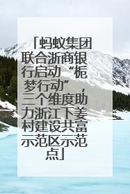 蚂蚁集团联合浙商银行启动“栀梦行动”，三个维度助力浙江下姜村建设共富示范区示范点