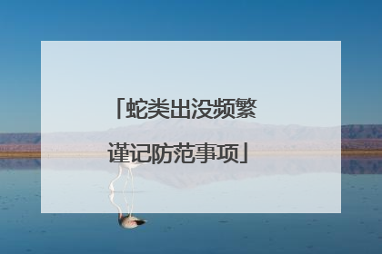 蛇类出没频繁 谨记防范事项