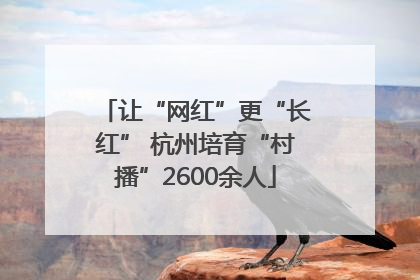 让“网红”更“长红” 杭州培育“村播”2600余人