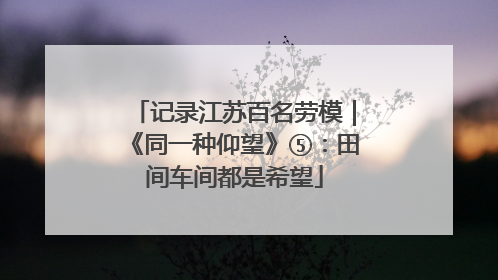 记录江苏百名劳模｜《同一种仰望》⑤：田间车间都是希望