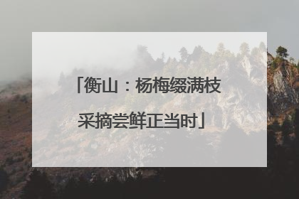 衡山：杨梅缀满枝 采摘尝鲜正当时