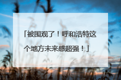 被围观了！呼和浩特这个地方未来感超强！