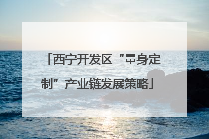 西宁开发区“量身定制”产业链发展策略