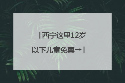 西宁这里12岁以下儿童免票→