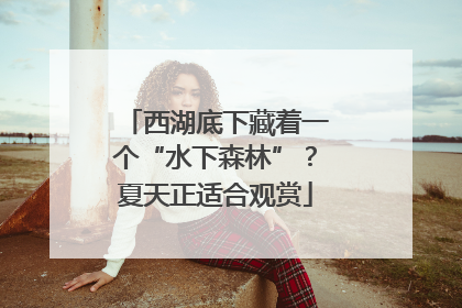 西湖底下藏着一个“水下森林”？夏天正适合观赏