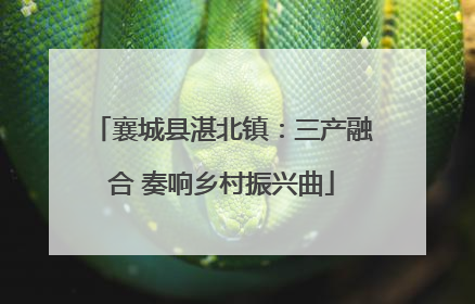 襄城县湛北镇：三产融合 奏响乡村振兴曲
