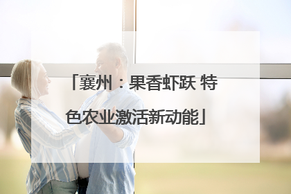 襄州：果香虾跃 特色农业激活新动能