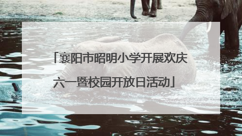 襄阳市昭明小学开展欢庆六一暨校园开放日活动