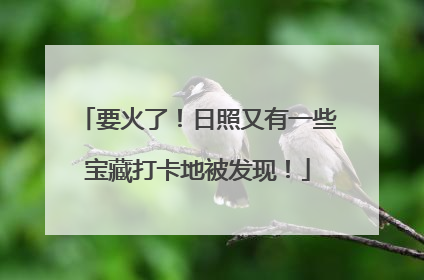 要火了！日照又有一些宝藏打卡地被发现！