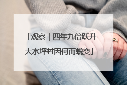观察｜四年九倍跃升 大水坪村因何而蜕变