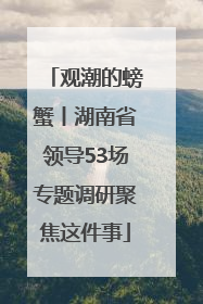 观潮的螃蟹丨湖南省领导53场专题调研聚焦这件事