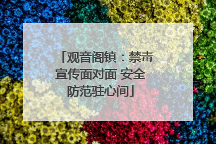 观音阁镇：禁毒宣传面对面 安全防范驻心间