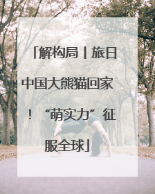 解构局丨旅日中国大熊猫回家！“萌实力”征服全球
